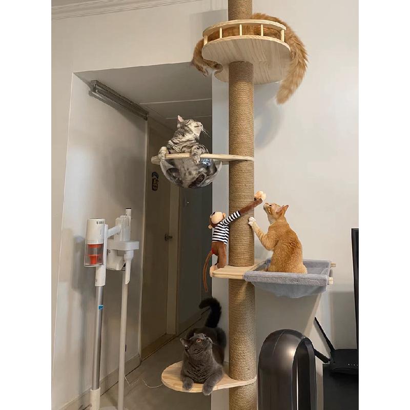 通天柱柱猫爬架不占地猫窝树一体抓柱顶天立地猫架屋麻绳实木爆款