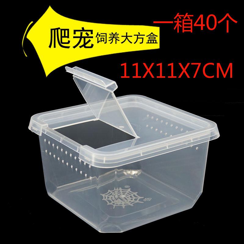 爬虫饲养盒宠物蜘蛛幼体专用设计翻盖防越狱方便喂食