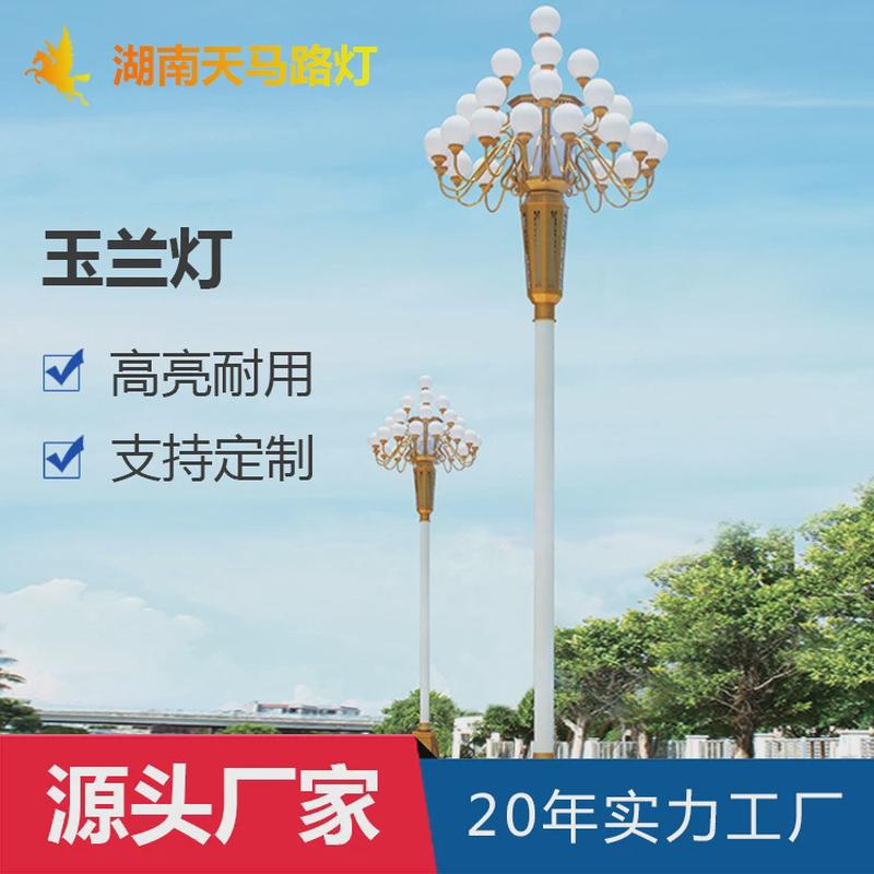 天马玉兰景观灯12米8头户外广场道路灯中高杆超亮LED市政马路灯杆
