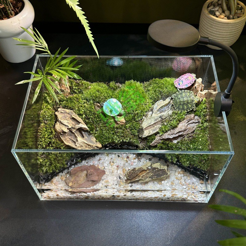 热销yut【全套带造景】换客厅卧室超白玻璃乌龟缸生态缸微景观免