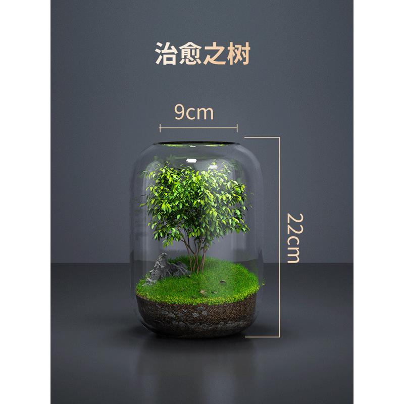微观桌面生态瓶自循环微景观免打理微生态玻璃办公室鱼缸空瓶造景