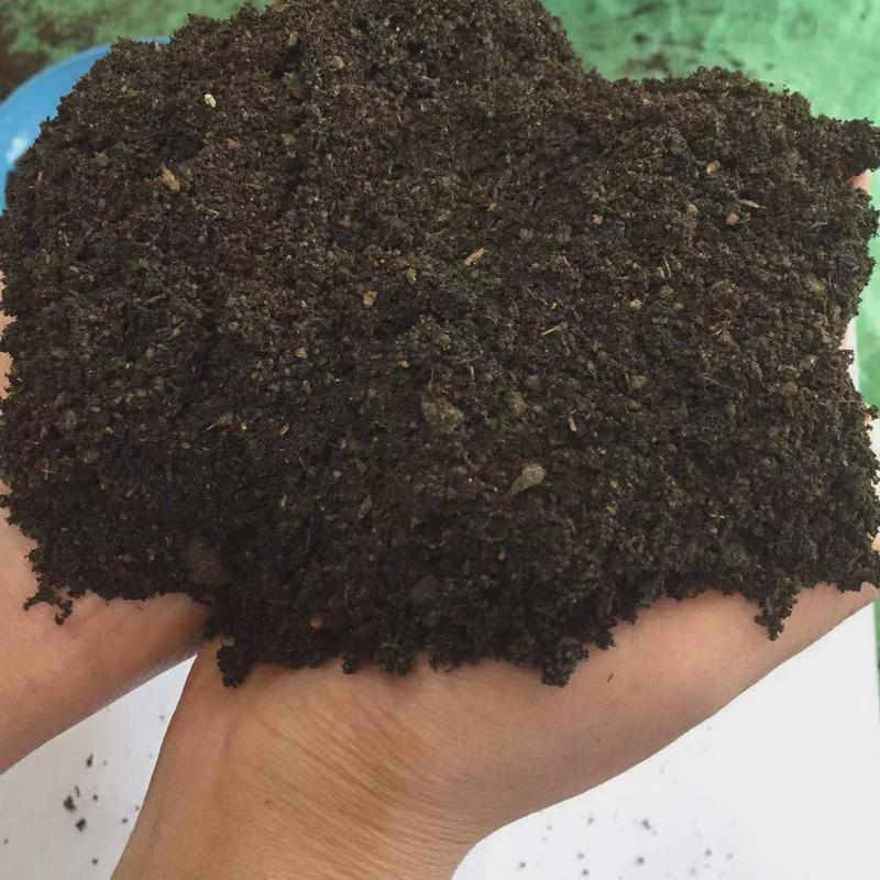 营养土养花发酵种菜专用种花土壤花肥多肉家用盆栽种植花土通用型