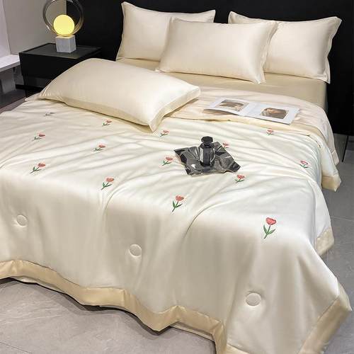 夏季可机洗水洗天丝冰丝夏凉被三四轻奢件套高级感单双人薄空调被