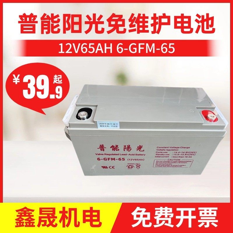 普能阳光蓄电池6-GFM-65直流NP65-1212V65AH免维护铅酸电池