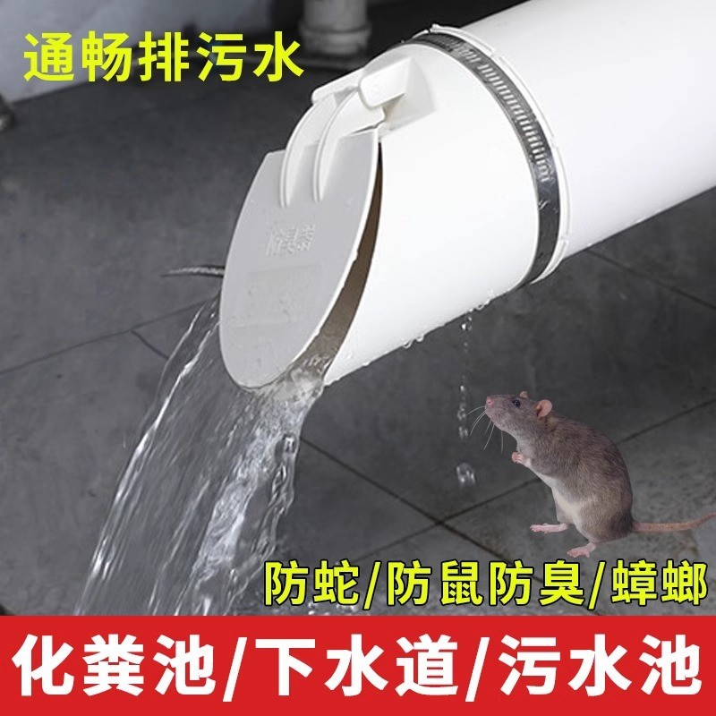 一件代发110管道单向160pvc排水管下水道防反水75排污口200止逆阀