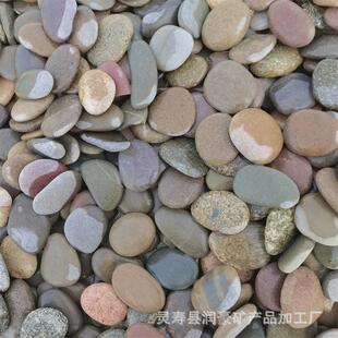 彩绘石头diy爬石人工挑拣片状鹅卵石画画石乌龟绘画石儿童创意石