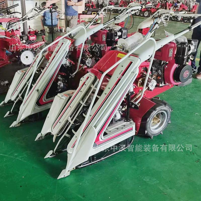 水稻割捆机青稞燕麦小型割晒手扶打捆收割自走式一体机小麦收割机