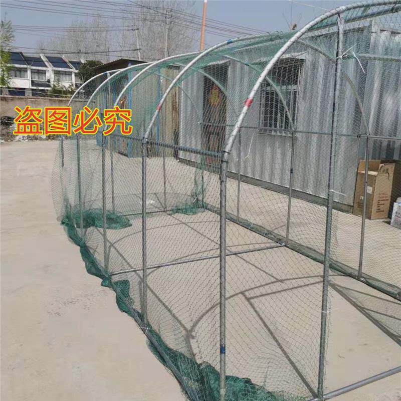 养殖特大号鸡笼户外养鸡棚子大棚骨架鸽子鸡舍棚搭建鸡屋家禽屋顶