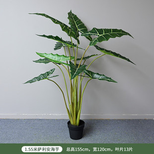仿真萨利安海芋北欧风家居商场橱窗装饰大型室内植物盆栽摆件落地