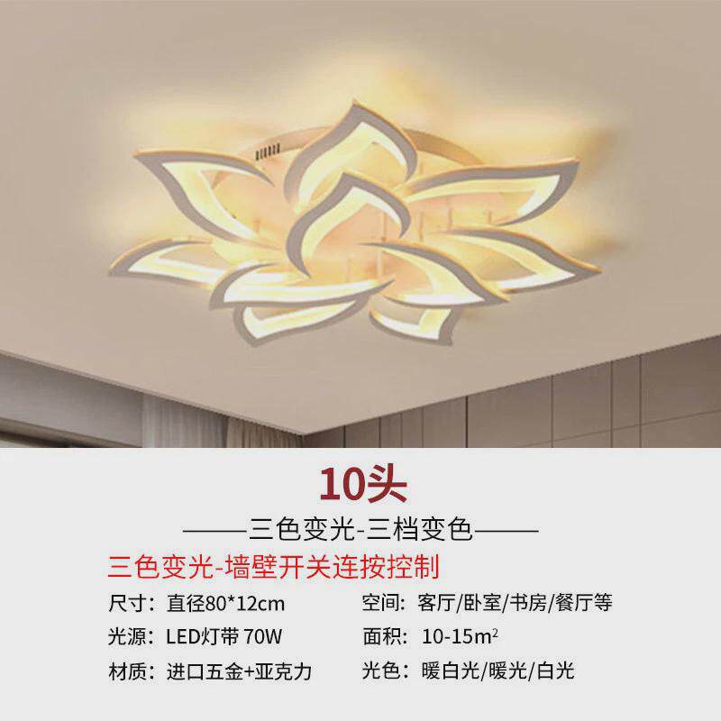 跨境led客厅现代简约大气温馨个性创意大厅家用主卧室灯