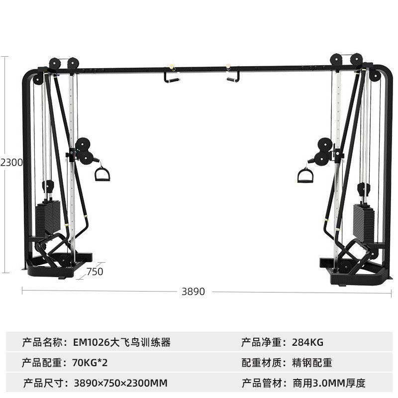 大飞鸟鸟健身房小飞龙门架rep引体向上器材多功能夹胸综合训练器