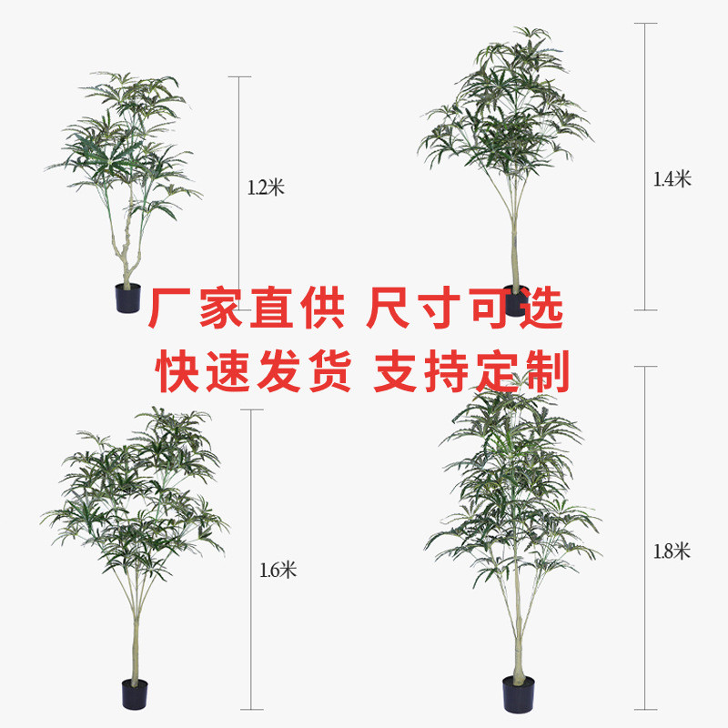 木仿真孔雀木八角叶聚财植物盆栽客厅植物盆栽摆件仿真千年定制