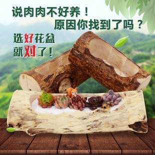 创意多肉小花盆景观造型木头花槽小号可爱长方形木质宽口花盆