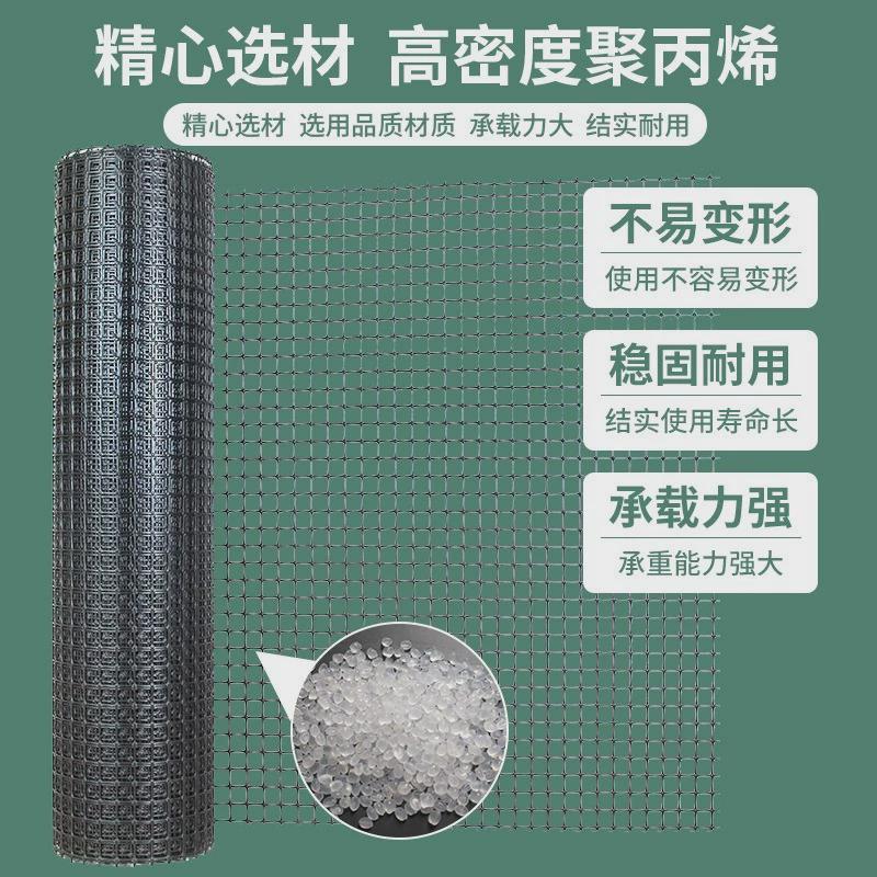 塑料网养殖网菜园黑色户外拦鸭养鸡网双向拉伸土工格栅工厂