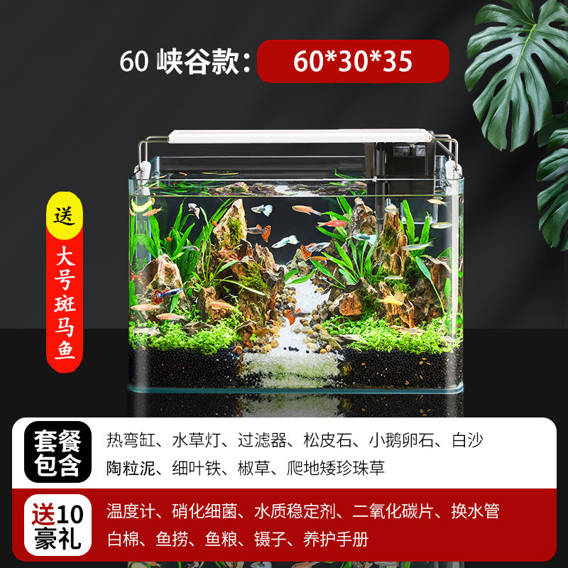 鱼缸造景全套热弯玻璃缸客厅小型桌面免换水生态草缸金鱼缸迷你