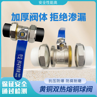 双活接球阀ppr铜阀门pe水管开关pert双热熔球阀pb4分6分1寸405063
