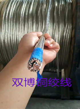 热销厂TJ-120家镀锡铜绞线TJX-150换流站水平接地纯铜裸绞线源头