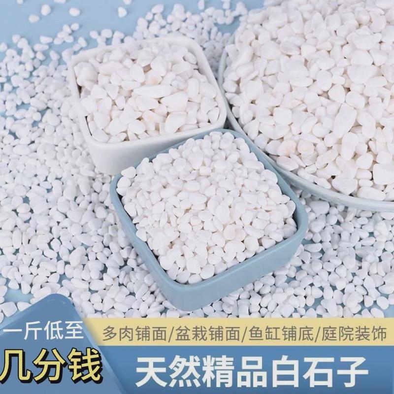 水磨石石米白色透水石子园林花圃造景砾石白色石米水洗石黑色石米