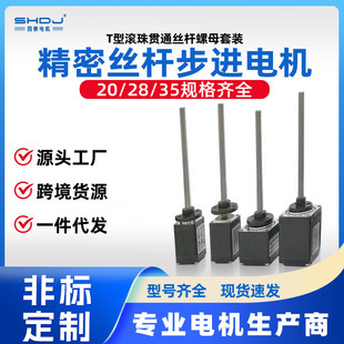 35直线电机T型滚珠贯通丝杆螺母套装 上海四横20