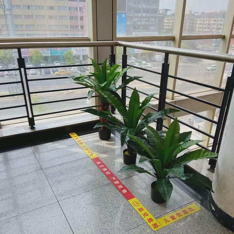 配鸟巢蕨叶仿真树叶热带植物造景盆栽假花摆件花槽花箱装饰叶大草