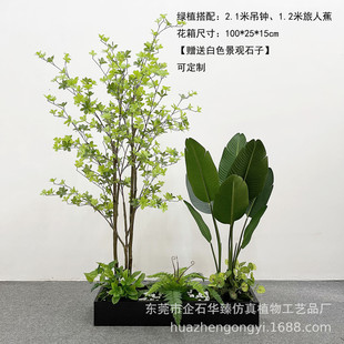 饰 仿真植物造景猴头蕨仿真植物造景组合家居室内落地盆栽假绿植装