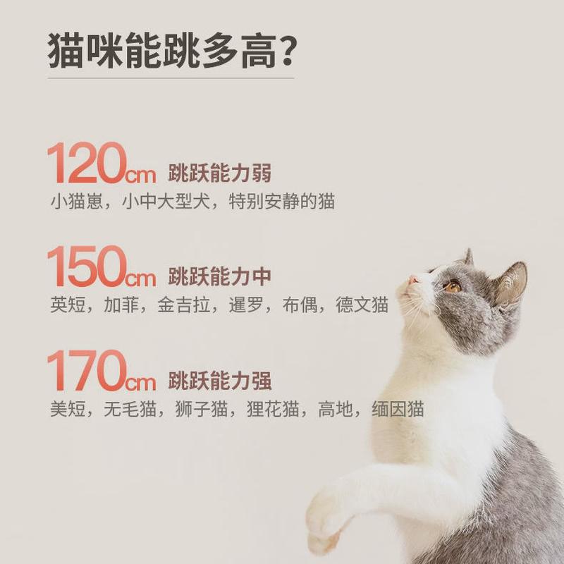 防拦猫咪小狗宠物门栏围栏隔离栅栏防护栏杆挡猫跳家用室内免打孔