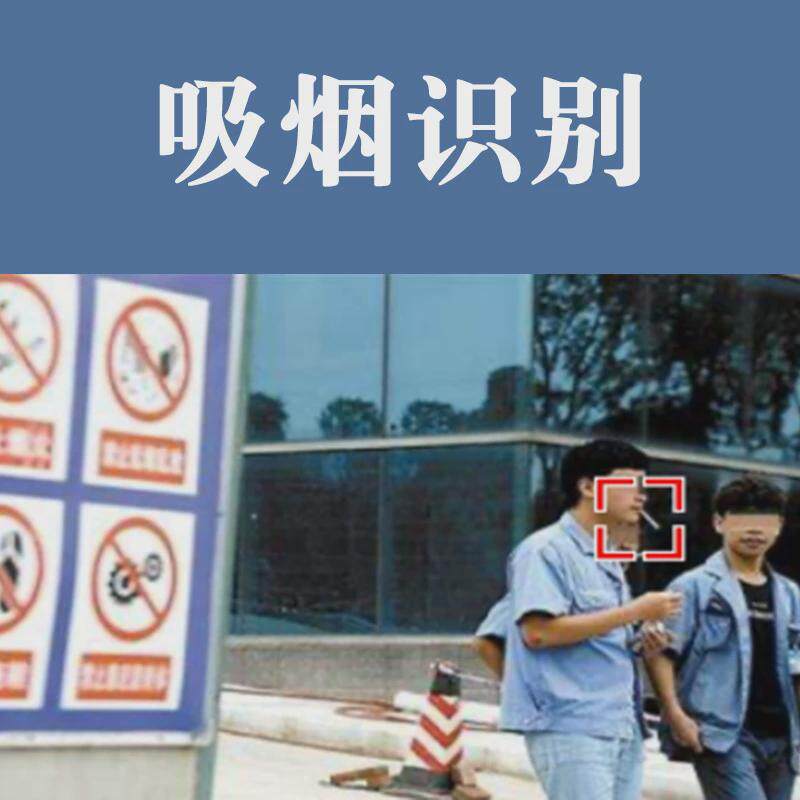 ai算法算法识别系统开发行为监控边缘人脸盒子ai分析识别行为分析