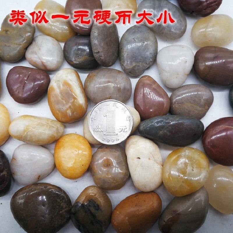 原抛光五彩厂地鹅卵石雨花石铺路石头五彩石黑色装饰造景石头