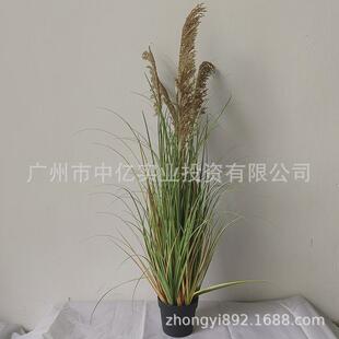 仿真芦苇人造芦苇草盆栽绿植仿真狗尾巴草芦苇草仿真植物造景