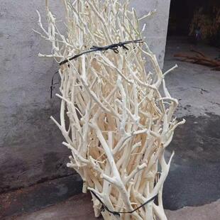 枝干风花瓶干树枝原木杈艺术枝白树枝枯木假树新中式树枝仿真树枝