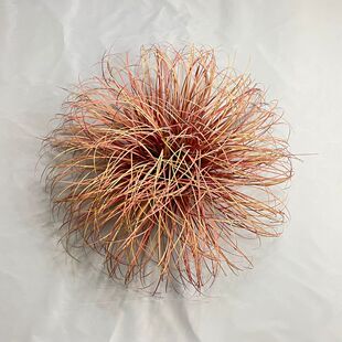 仿真芦苇草团狗尾巴洋葱草草座室内仿真植物墙装饰源头厂家现货