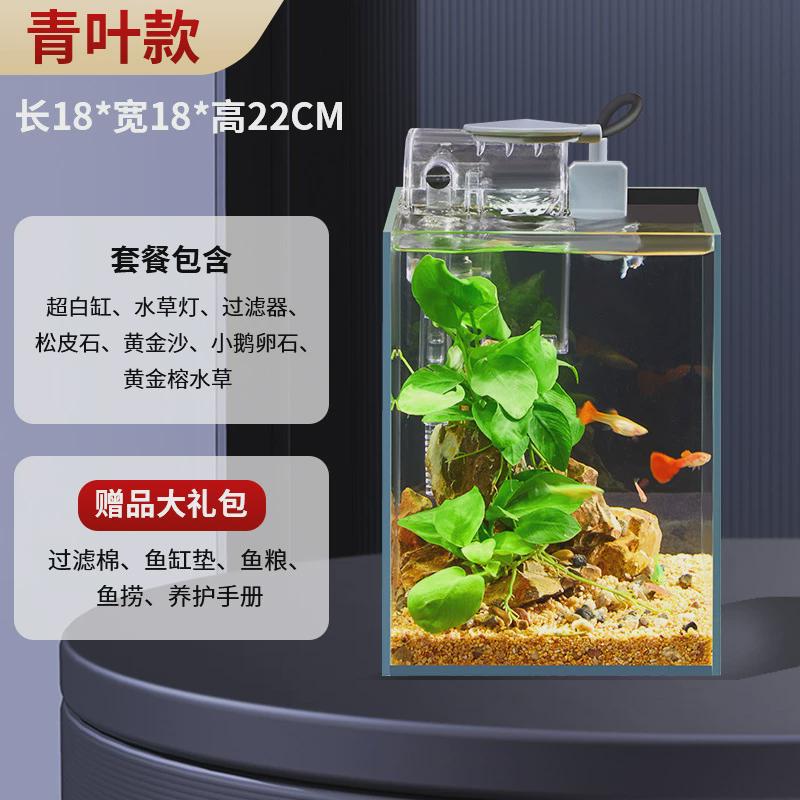 创意生态鱼缸免换水造景懒人微景观diy室内客厅迷你生态瓶超白