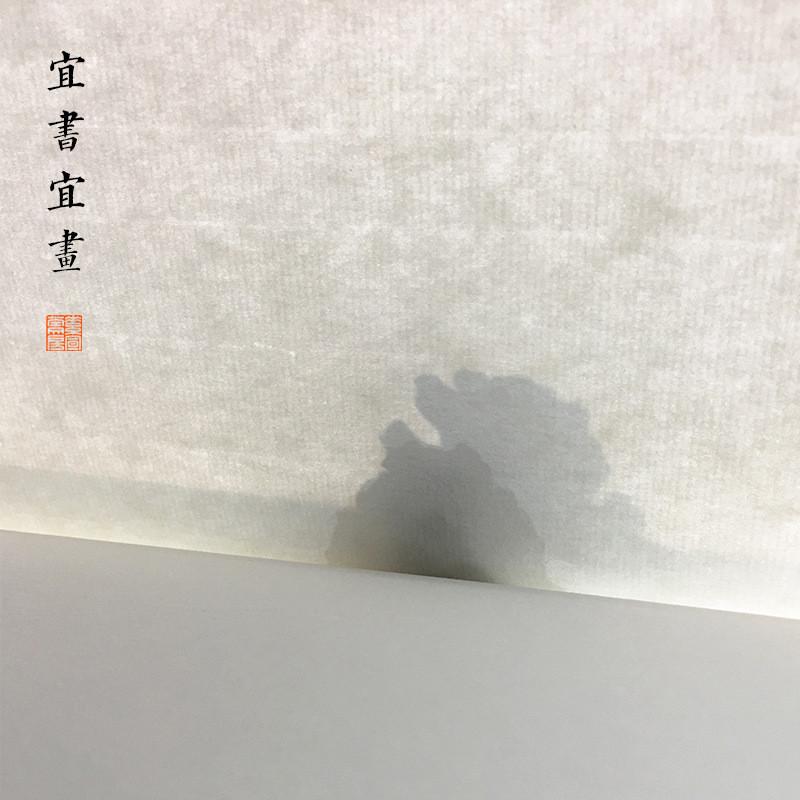 初学者书法练习用纸生宣纸半生熟国画练毛笔字四尺三尺对开作品纸