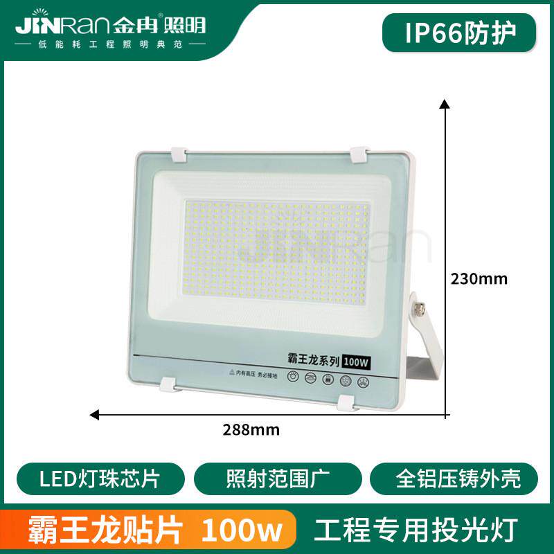 3030大贴片霸王龙系列led投光灯室外工地照明广告灯防水