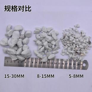 兰玻璃轻石水处理滤料多孔透气陶瓷花用大颗粒珍珠岩发泡陶瓷颗粒