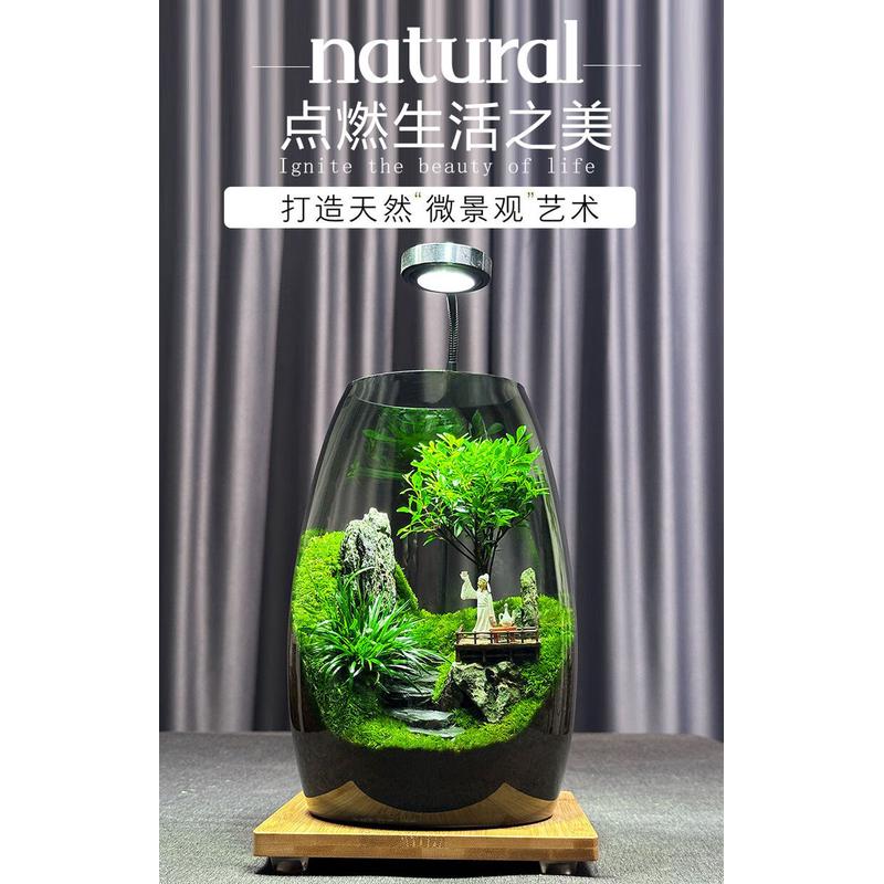 （云海间）微景观创意假山造景植物家居室内客厅办公室桌面摆件。