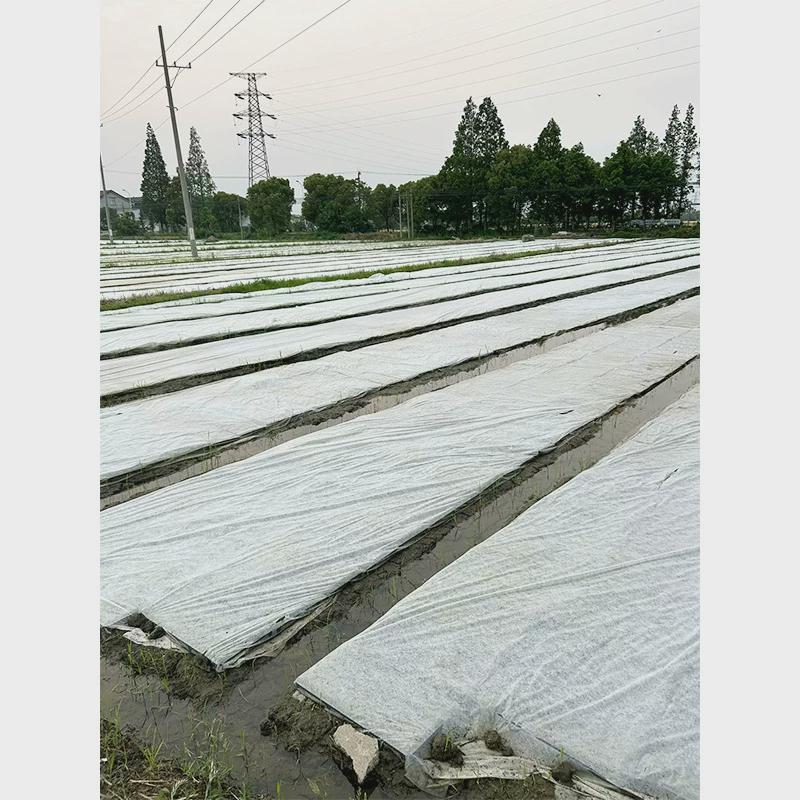 常熟供应无纺布农用保湿透气透气保湿农用园艺地布盖草抑草膜地膜