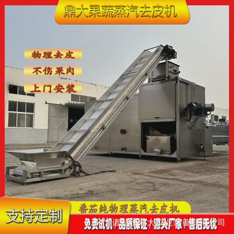 全自动果蔬业蒸汽去皮机西红柿去皮黄桃剥皮机鼎大工红薯