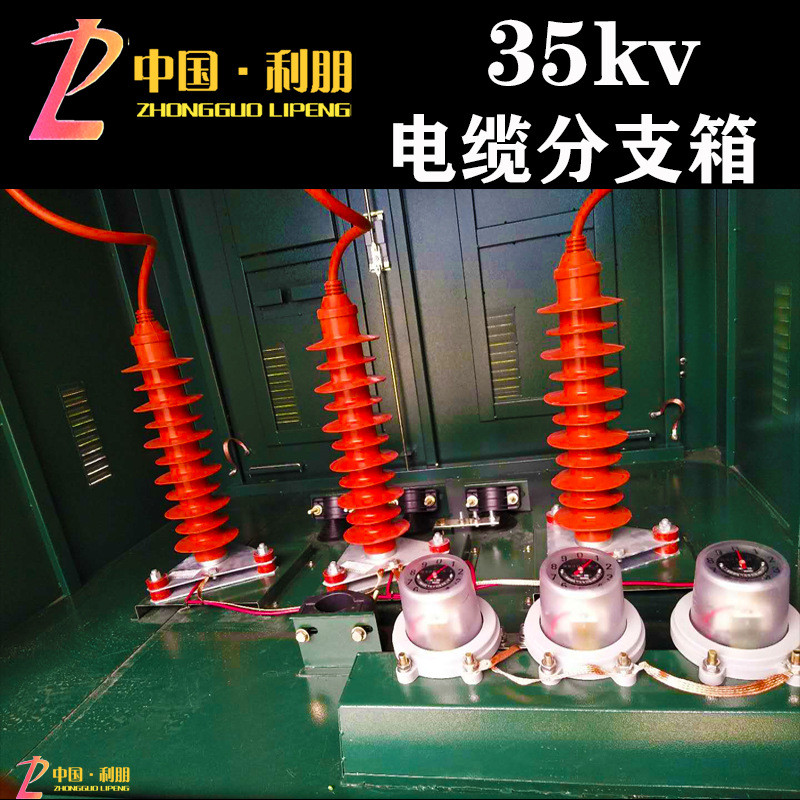 35kv电缆分接箱带开关分支箱户外高压铜排箱35KV铜排分支箱