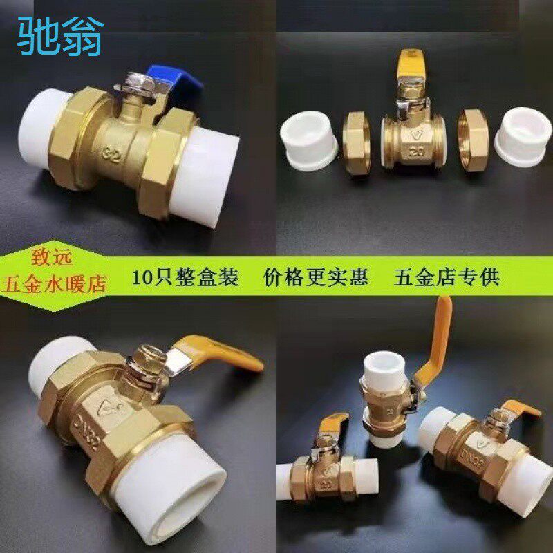 sRgPPR球阀铜阀门双活节阀门热熔4分206分251寸闸阀自来水(10只