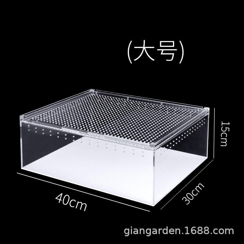 giangarden亚克力蜘蛛蛙宠爬虫箱饲养盒角爬独角仙豹纹守宫饲养箱
