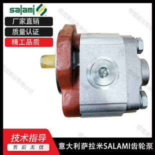 2.1DR51S0 UA1高压油泵 4.1 萨拉米液压泵SALAMI齿轮泵1.5PE6.2
