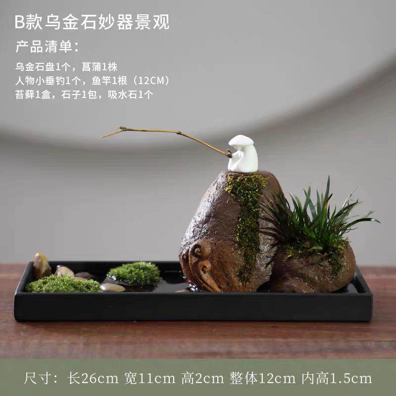 文竹苔藓水培微景观菖蒲盆景绿植办公室乌金石桌面禅意摆件吸水石