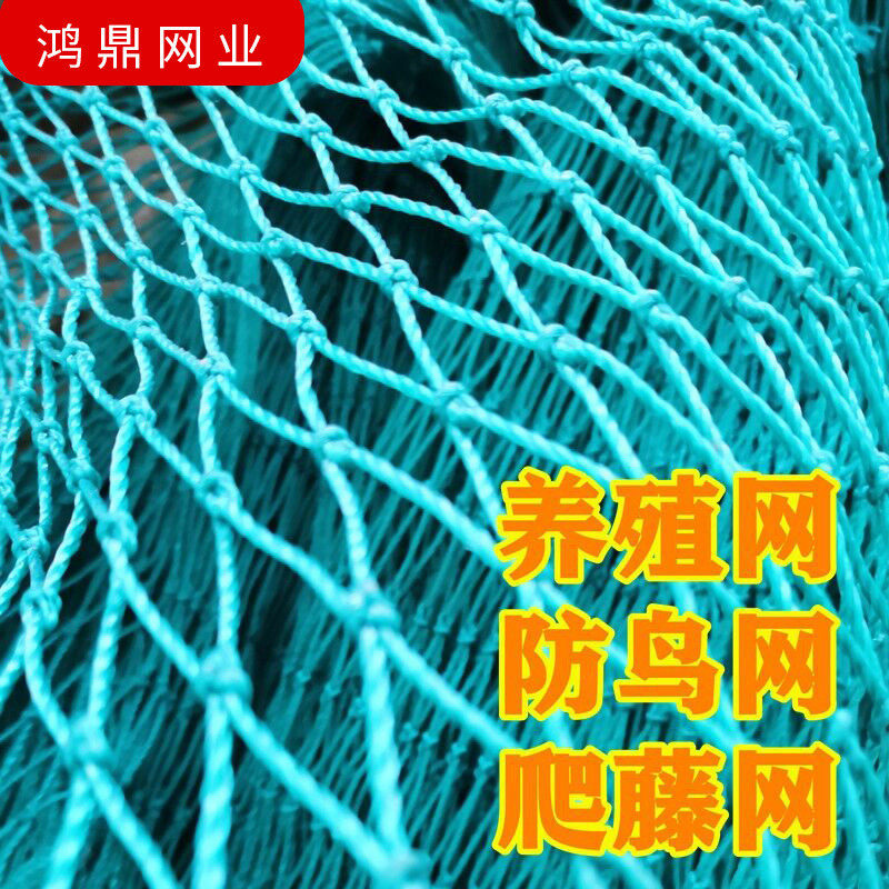 养殖网 爬藤 攀爬 围栏爬藤网聚乙烯隔离网 防飞网