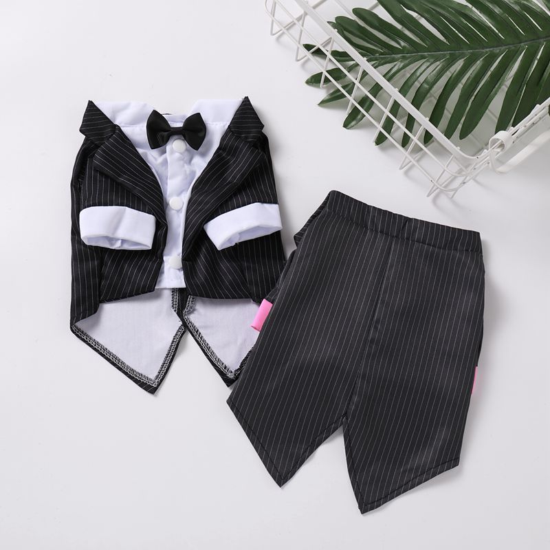 宠物狗狗西装夏天薄款泰迪西服衬衫西装婚纱礼服狗猫咪春夏季衣服
