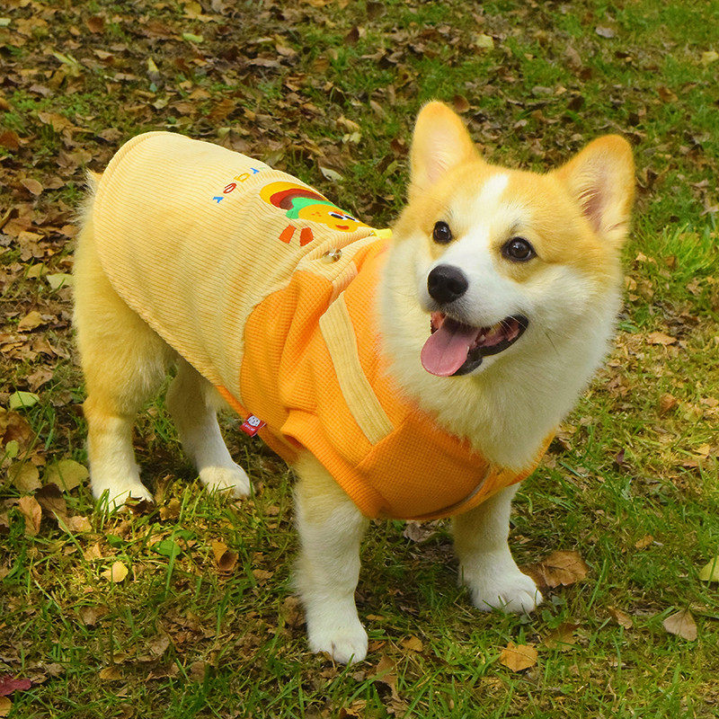 柯基柴犬泰迪比熊狗狗衣服加绒保暖卫衣可牵引背心马甲汉堡变身装