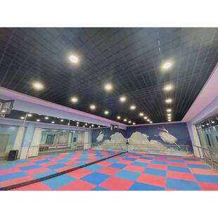 儿童练舞房泡沫地垫子幼儿园跆拳道馆铺地板舞蹈垫加大号