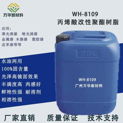 丙烯酸改性聚酯树脂水油两用羟基丙烯酸烤漆清漆涂料自干漆WH8109