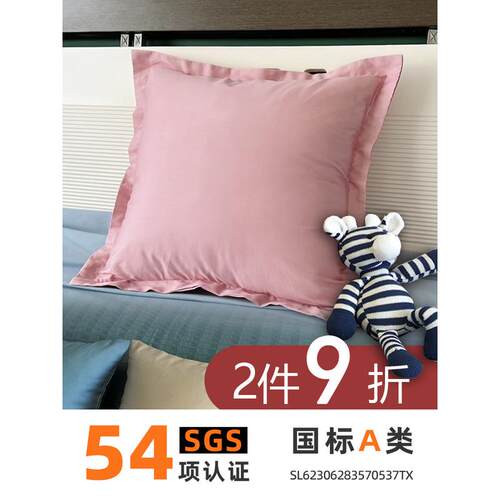 适用65x65大抱枕靠垫套60x80纯棉抱枕套40不含芯45正方形50床上靠