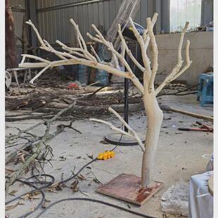 仿真假枯树枝杈大型真树干猫爬架窝道具玩咪用品造景室内装饰